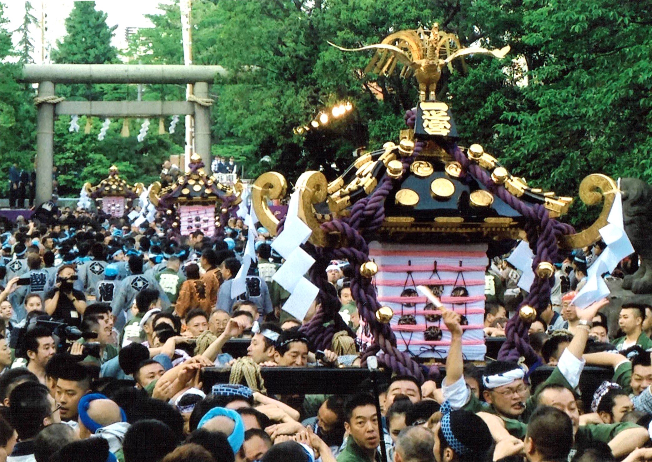三社祭 浅草神社例大祭 三社祭 2024 | agataJapan.tokyo