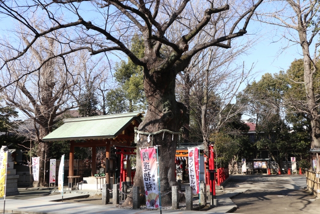 新田神社(東京・武蔵新田)