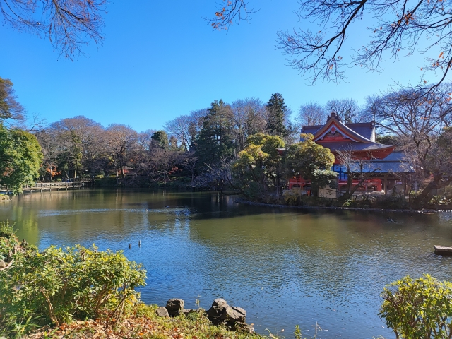 井の頭恩賜公園