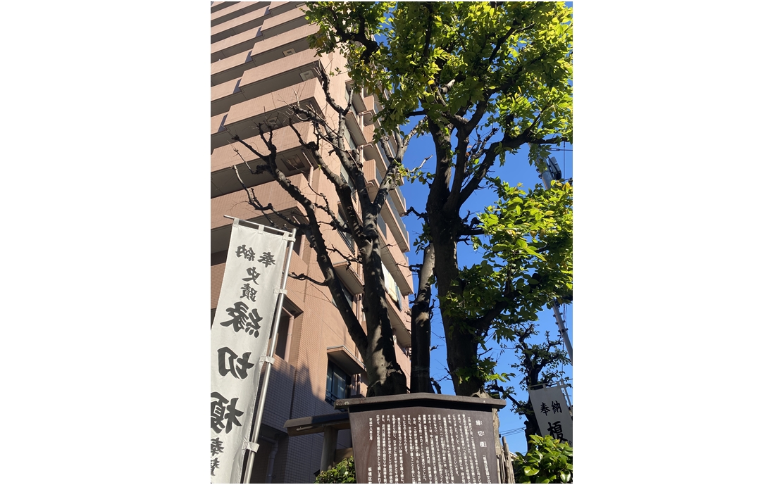 縁切り榎