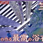 竺仙の動画サムネイル